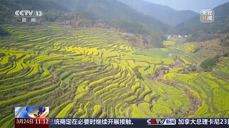 清明假期将至｜短途旅游线路火爆 这些宝藏地等你打卡