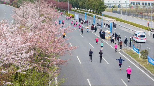 樱花为媒，赛动黔景！奔跑贵阳·2025贵阳贵安樱花半程马拉松赛圆满结束！