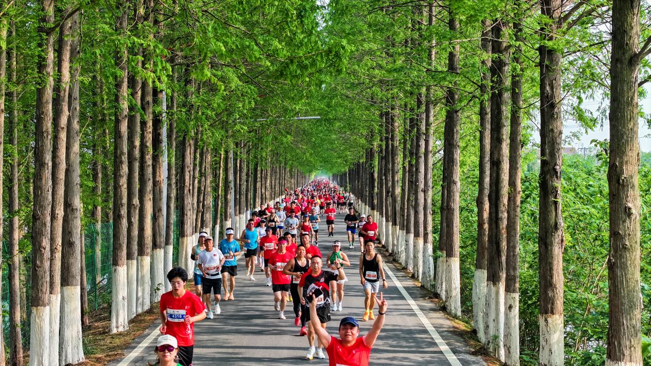 2025潜马鸣枪开跑！赴约龙虾盛宴，共赏最美湿地赛道