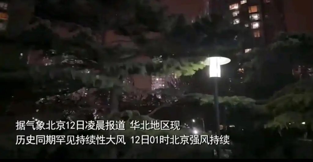北京极端大风：树被吹倒 高楼轻晃