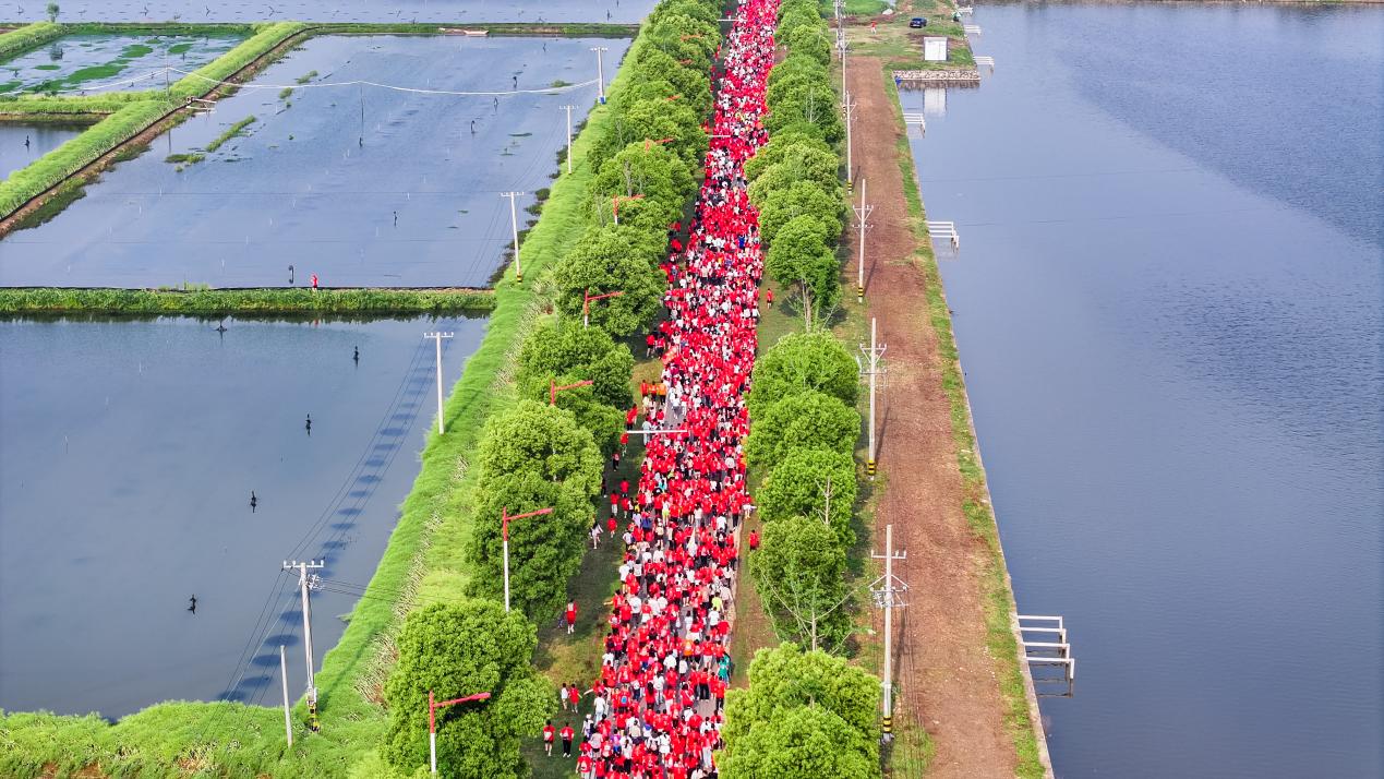 2025潜马鸣枪开跑！赴约龙虾盛宴，共赏最美湿地赛道