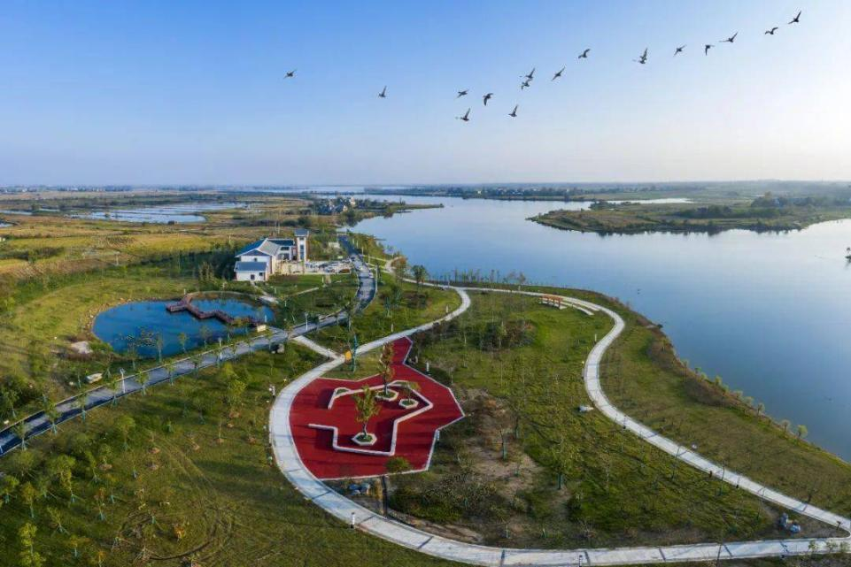 活力天门，万马奔腾！泰康·2025天门马拉松火热开跑！