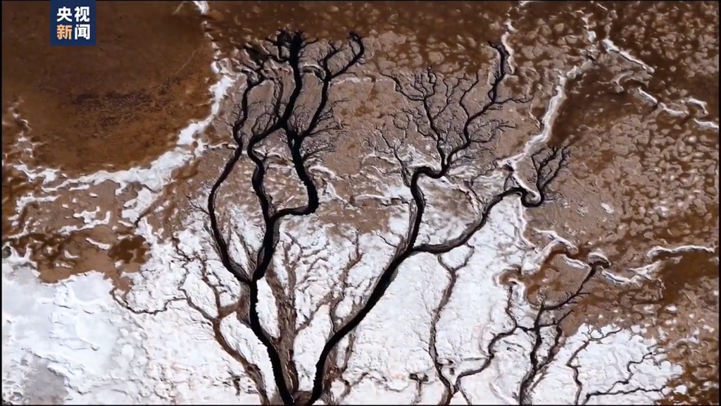内蒙古芒乃淖尔盐湖现巨型 “大地之树”：盐色染枝桠，数公里景观如秋日油画