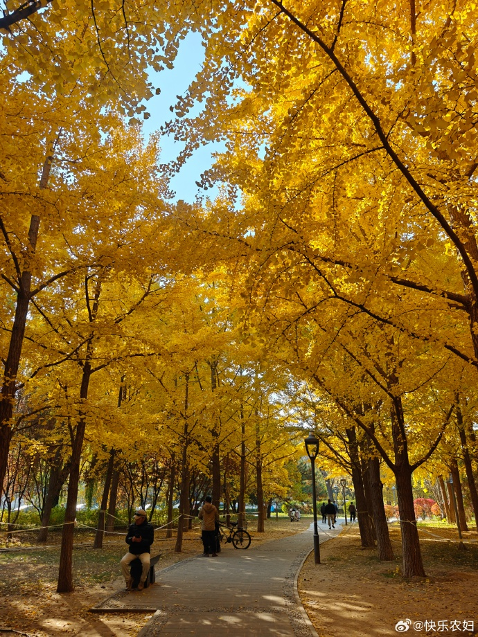 秋日限定目的地推荐