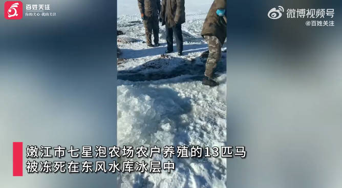 黑龙江嫩江：13 匹马坠冰窟冻死 养殖户损失超 30 万元