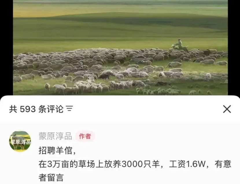 月薪 1.6 万草原放羊岗敲定人选，两对夫妻已入职试岗